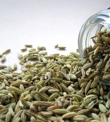 Fennel-Seeds.jpg